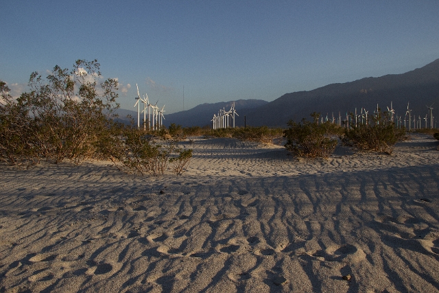 2014 (8).jpg - South West Desert